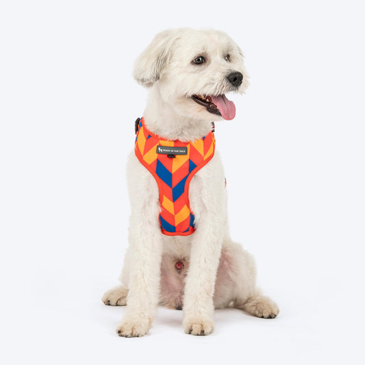 HUFT Dynamic Chevron Adjustable Harness For Dog - Red & Yellow - Heads Up For Tails