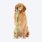 Dash Dog Tuff Tugger Rope Toy For Dog - Multicolor - Heads Up For Tails