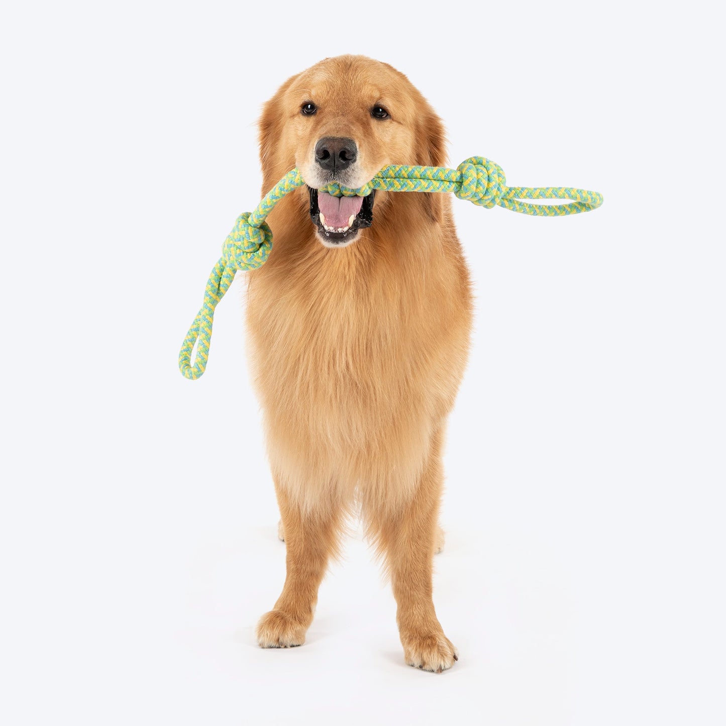 Dash Dog Tuff Tugger Rope Toy For Dog - Multicolor - Heads Up For Tails