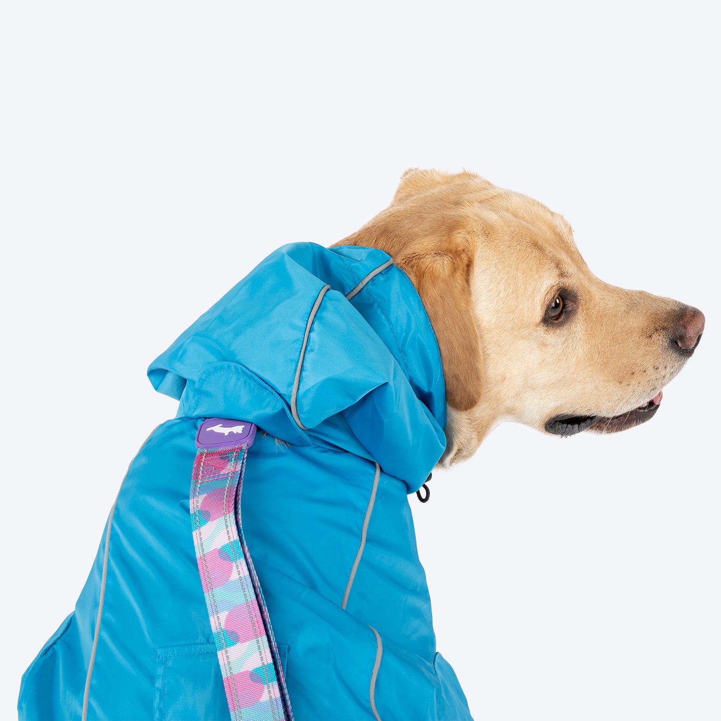 Dash Dog Puddle Jumper Full Coverage Raincoat For Dog - Electric Blue - Heads Up For Tails