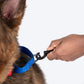 HUFT Martingale Collar For Dog - Crimson Red & Cobalt Blue - Heads Up For Tails