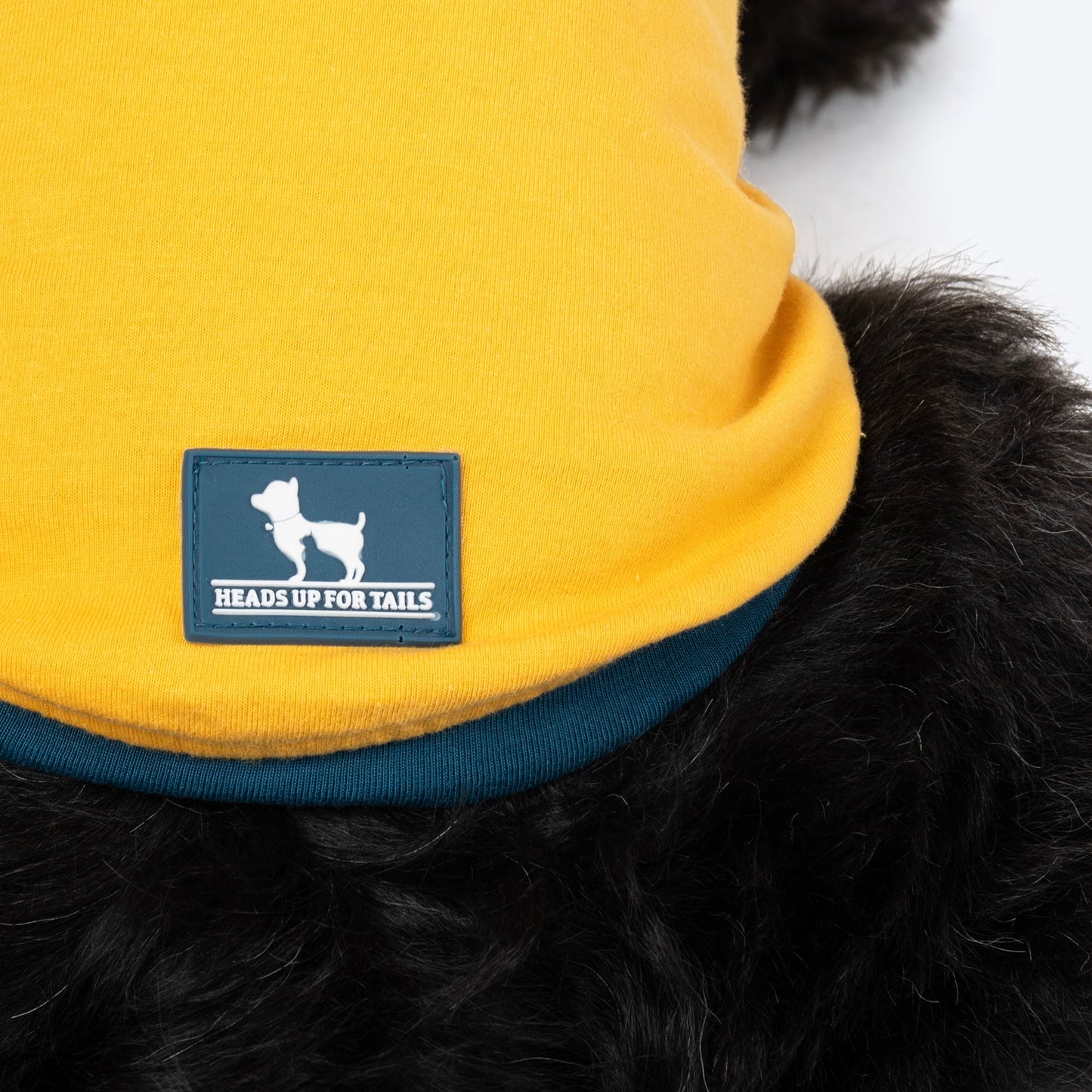 HUFT Drool Is Cool T-Shirt For Dog - Yellow - Heads Up For Tails