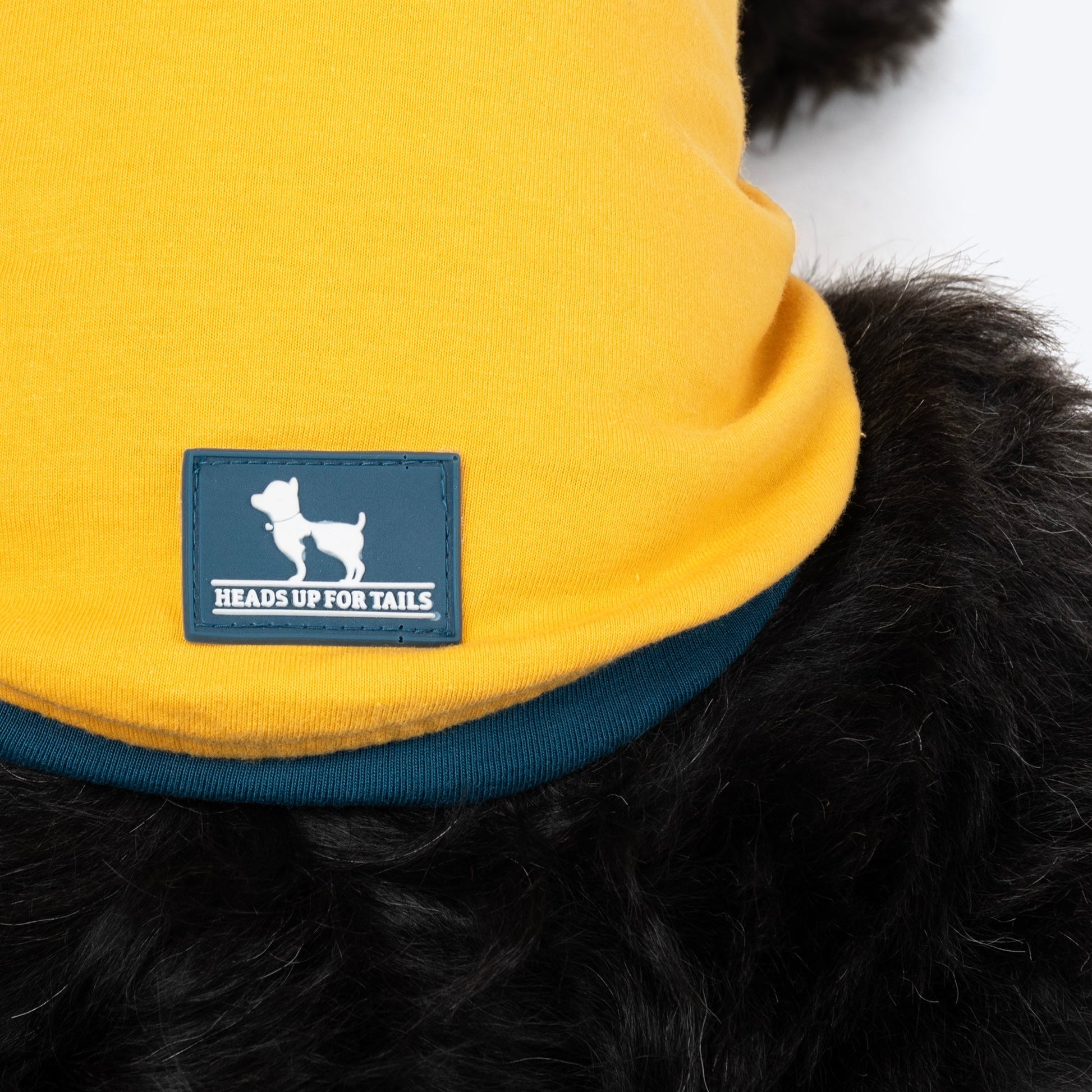 HUFT Drool Is Cool T-Shirt For Dog - Yellow - Heads Up For Tails