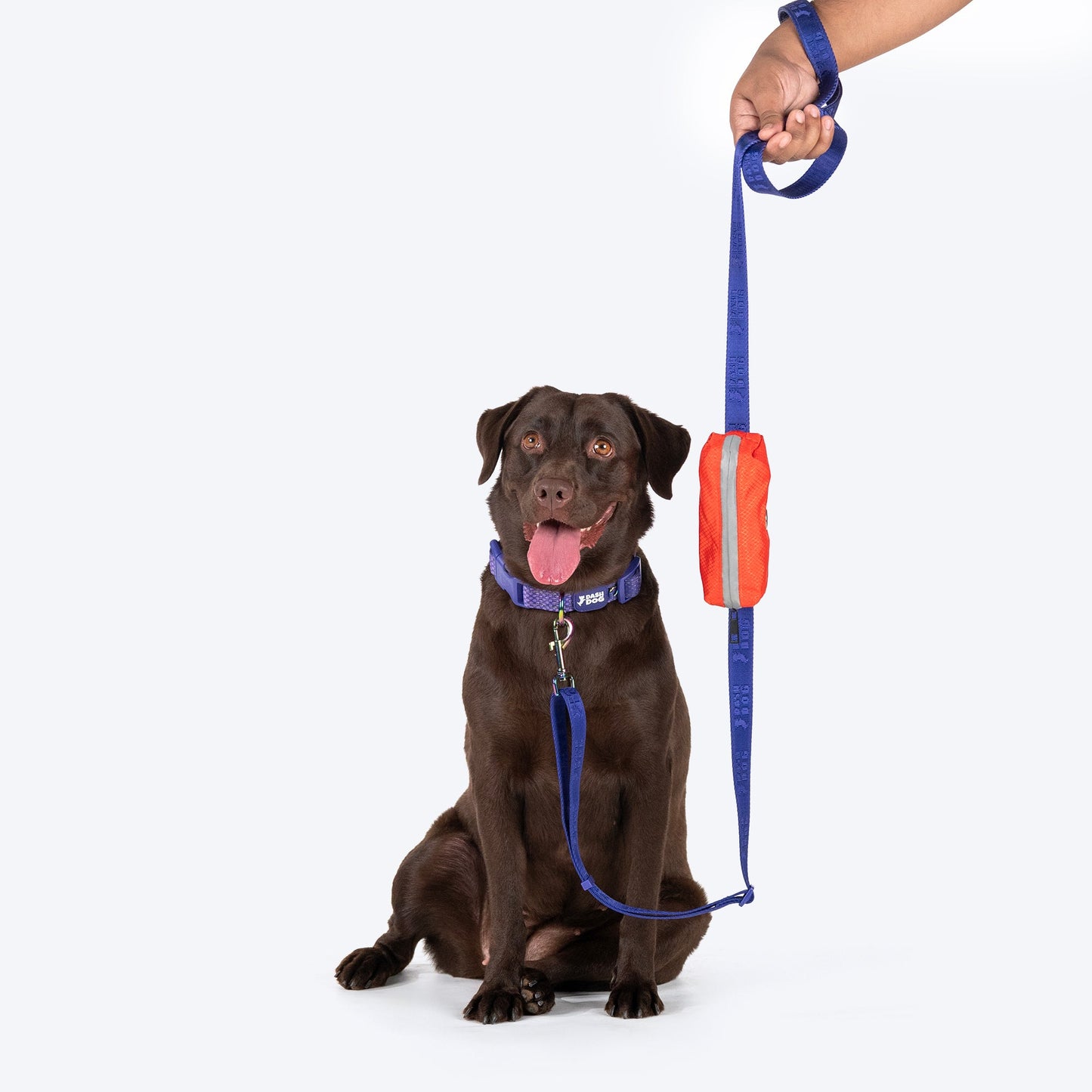 Dash Dog Oh-So-Handy Flexible Leash For Dog - Purple 7 ft - Heads Up For Tails