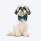 HUFT Regal Luxe Collar With Bow Tie For Dog - Green - Heads Up For Tails