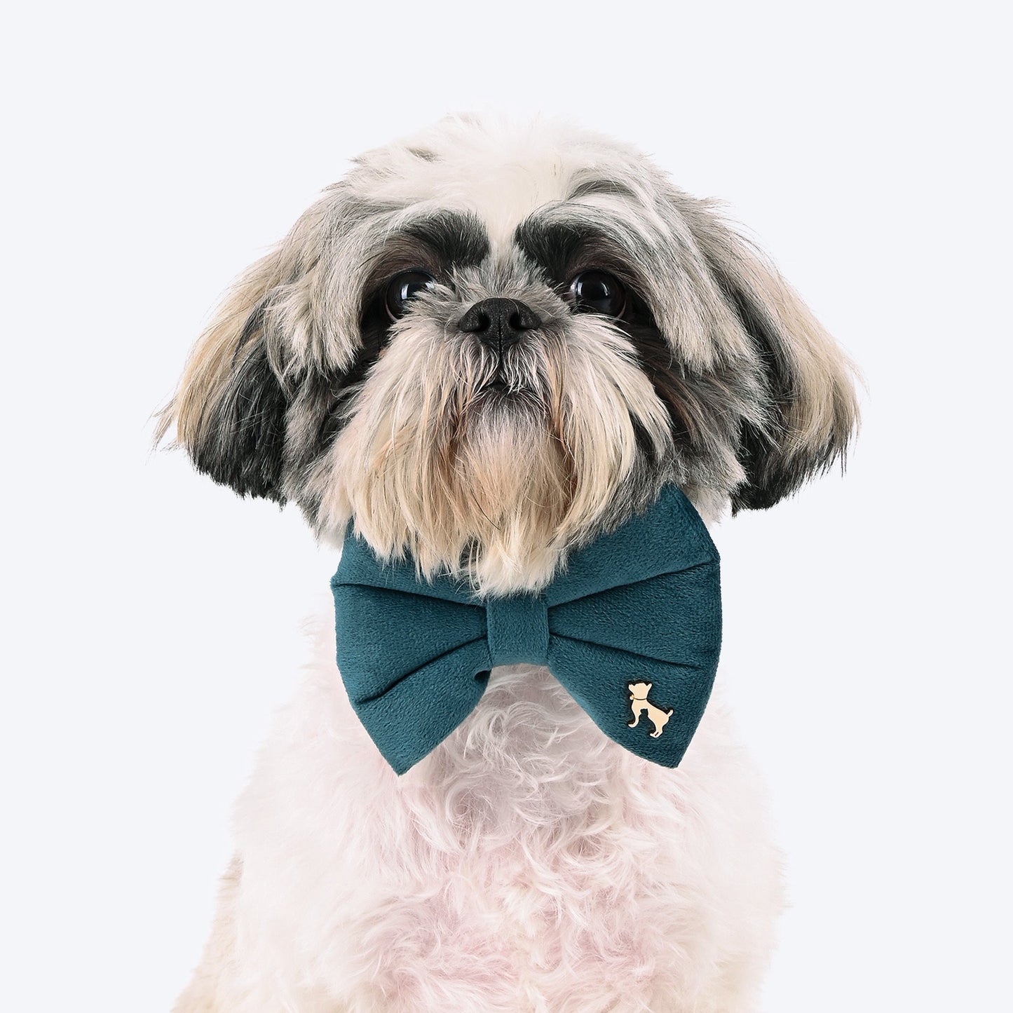 HUFT Regal Luxe Collar With Bow Tie For Dog - Green - Heads Up For Tails