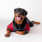 HUFT Colour Block Pocket Pet Sweatshirt - Blue Melange and Red - Heads Up For Tails