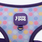 Dash Dog Circle Double Harness - Aqua Blue & Lavender - Heads Up For Tails