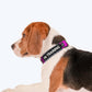 HUFT Trooper Walking Aid Leash & Collar Insert (In Training) - Heads Up For Tails