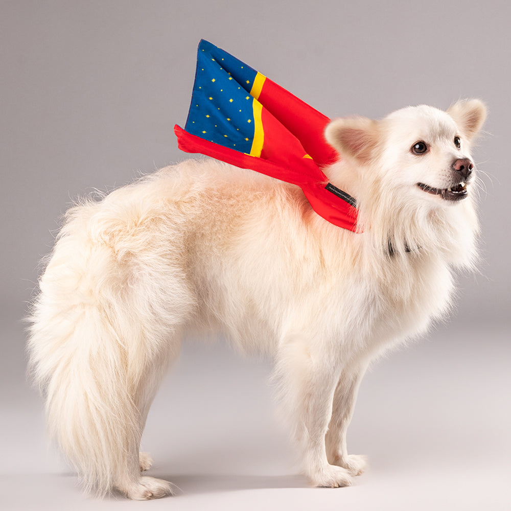 HUFT XÂ©Marvel Captain Marvel Cape - Heads Up For Tails