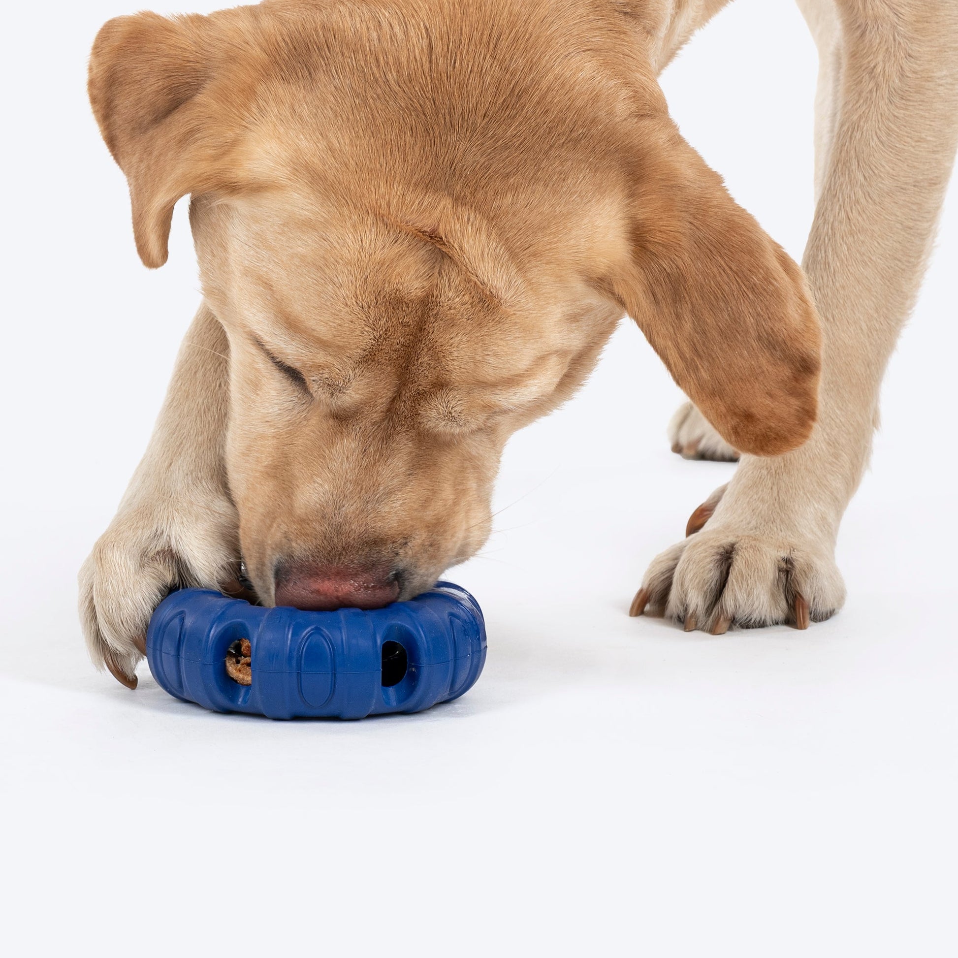 HUFT Chewtastic Roll-A-Tyre Chew Toy For Dog - Blue - Heads Up For Tails