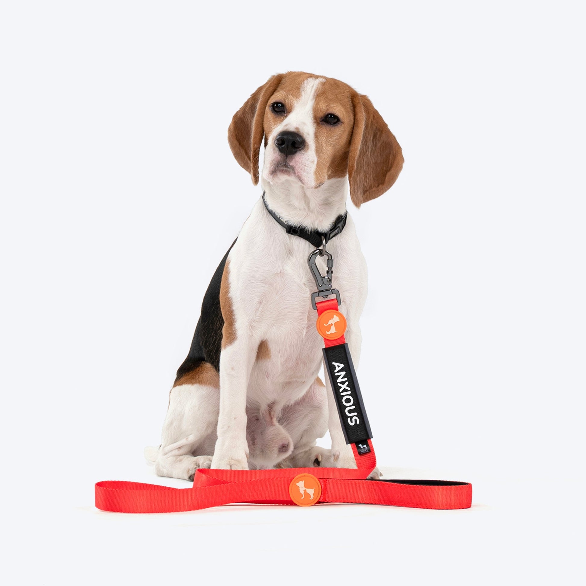 HUFT Trooper Walking Aid Leash & Collar Insert (Anxious) - Heads Up For Tails