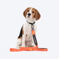 HUFT Trooper Walking Aid Leash & Collar Insert (In Training) - Heads Up For Tails