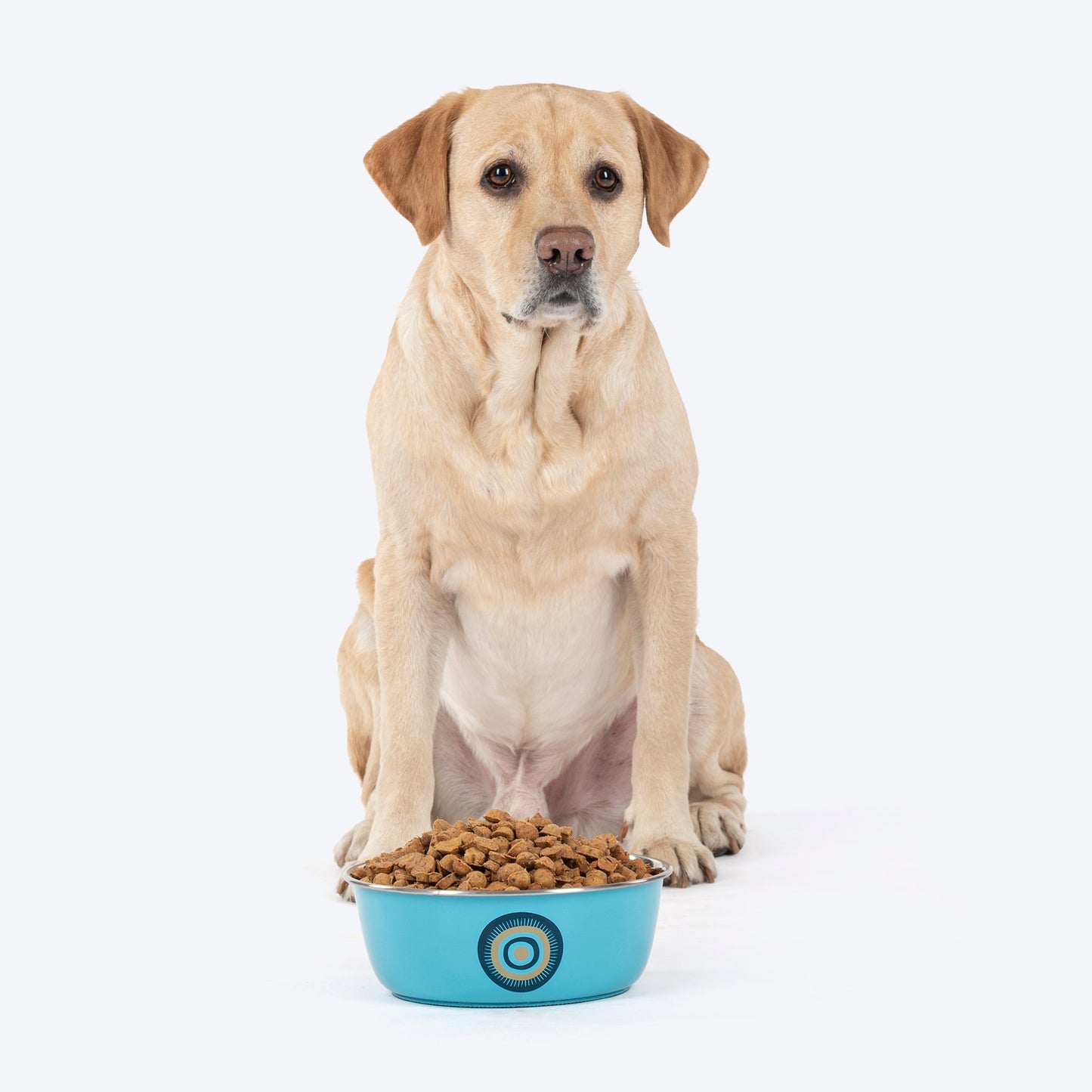 HUFT Evil Eye Printed Steel Bowl For Dog - Blue - Heads Up For Tails