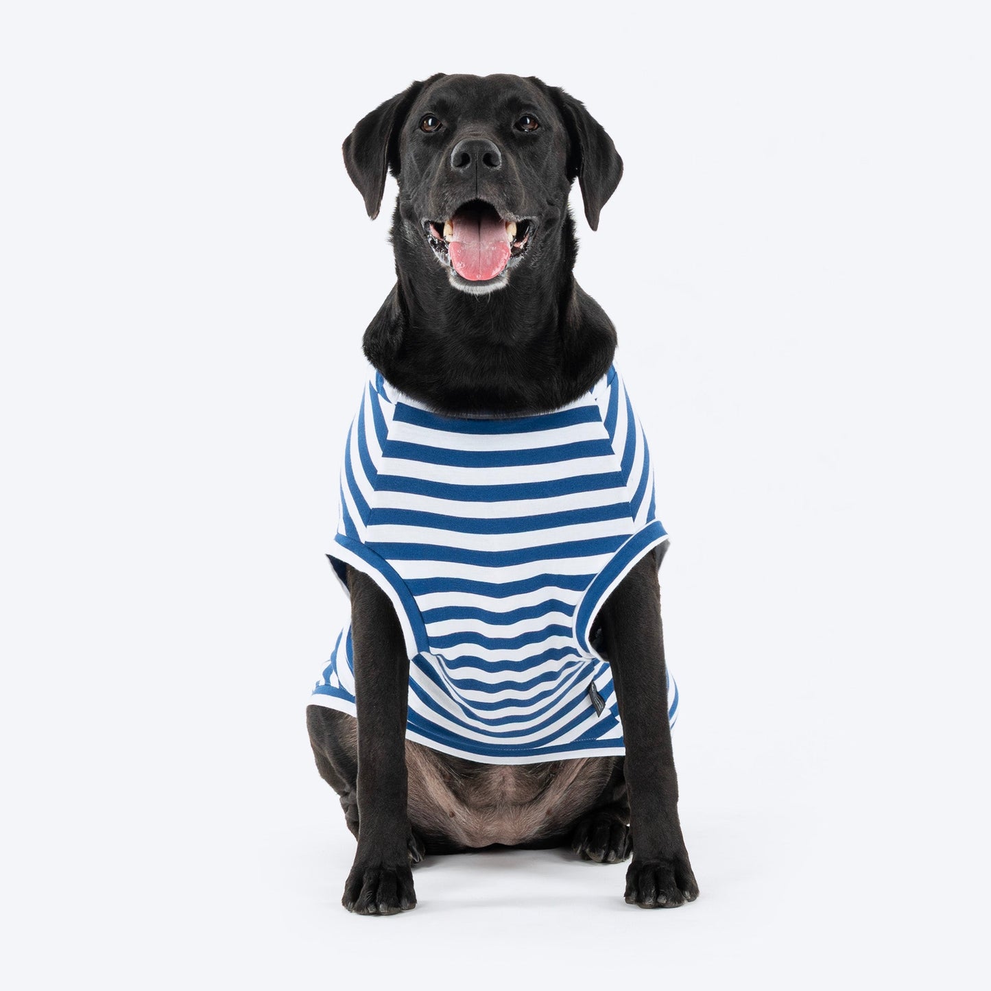 HUFT Best Dog Striped T-Shirt For Dog - Navy Blue & White - Heads Up For Tails
