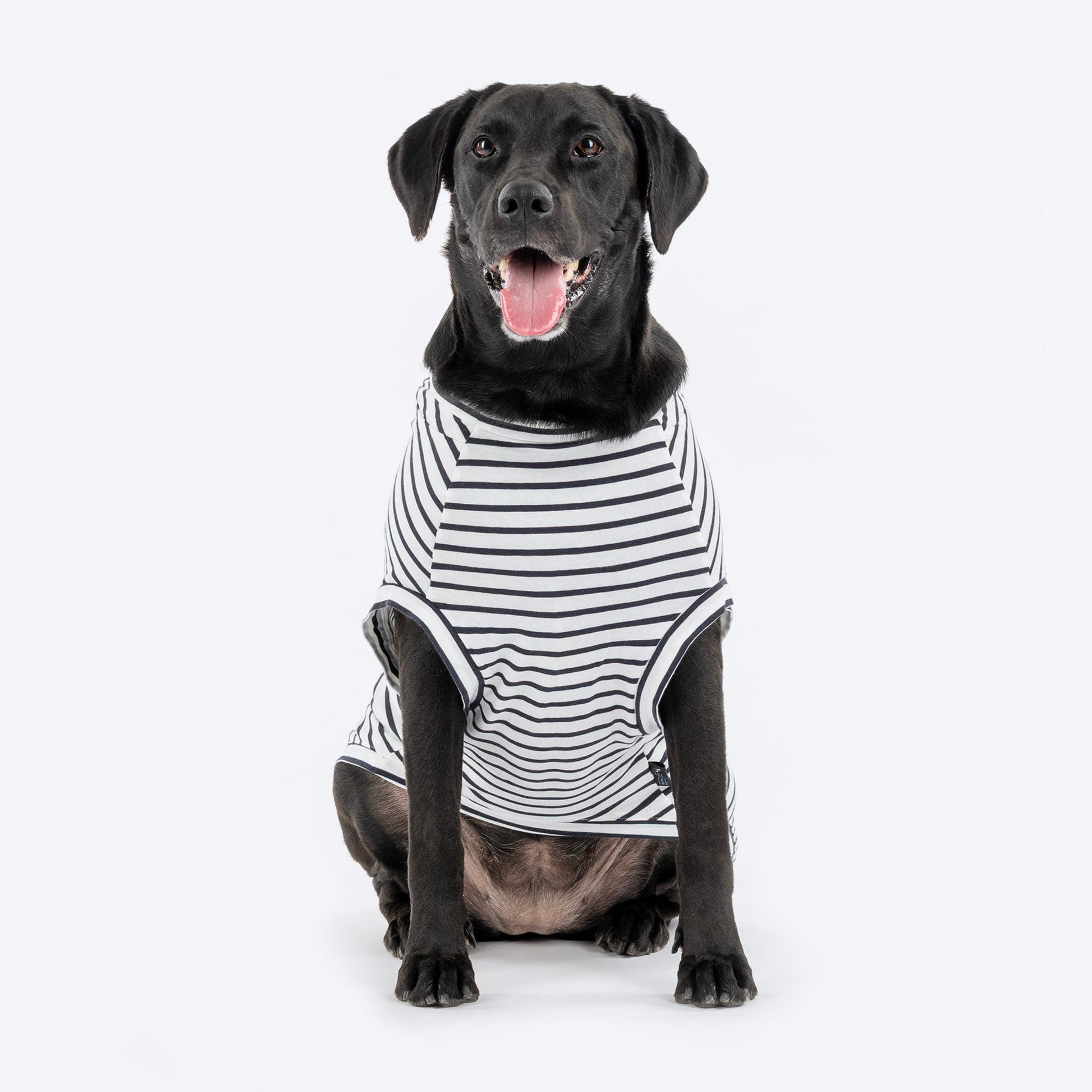 HUFT Cuddle Bug Striped T-Shirt For Dog - Black & White - Heads Up For Tails