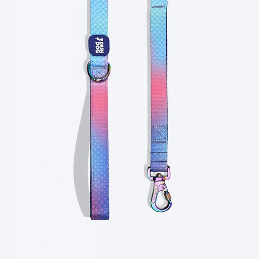 Dash Dog Flow Print Leash - Pink & Aqua Blue - Heads Up For Tails
