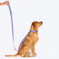 Dash Dog Circle Print Leash - Violet & Red - Heads Up For Tails