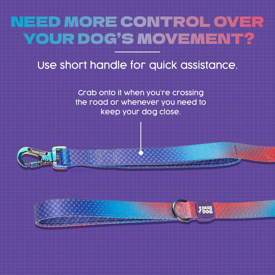 Dash Dog Flow Print Leash - Violet & Red - Heads Up For Tails