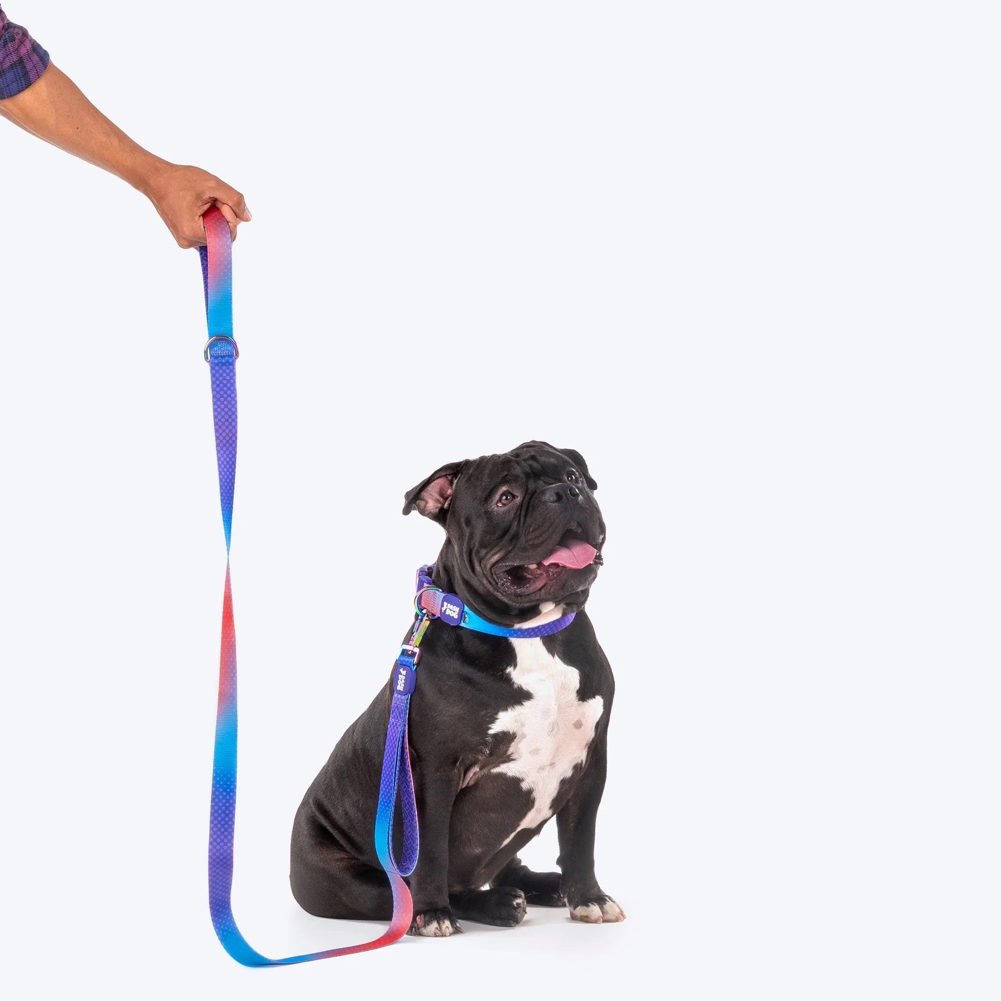 Dash Dog Flow Print Leash - Violet & Red - Heads Up For Tails