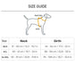 Dash Dog Walk Pro Harness For Dog - Blue & Orange