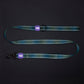 Dash Dog Ethernal Fade Dual Handle Leash For Dog - Aqua_12