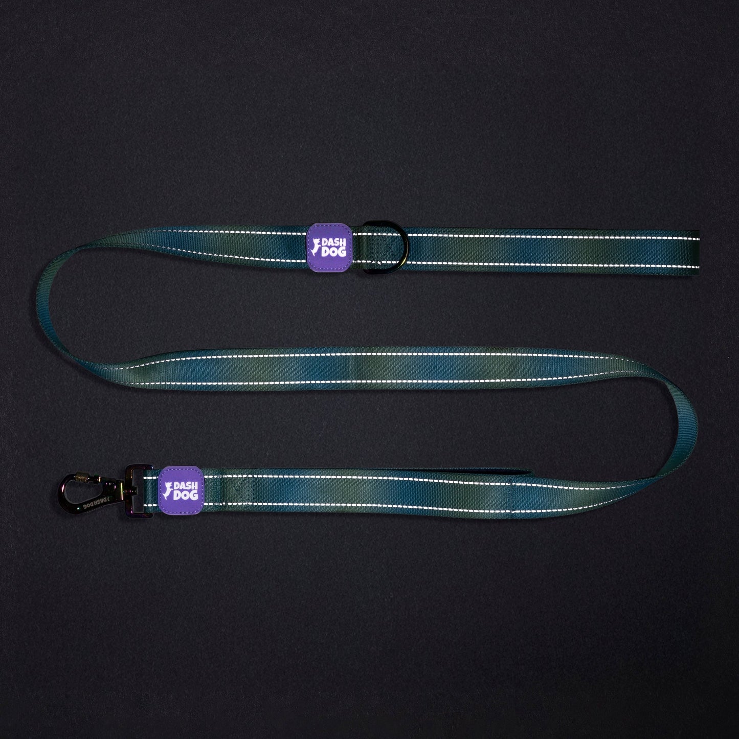 Dash Dog Ethernal Fade Dual Handle Leash For Dog - Aqua_12