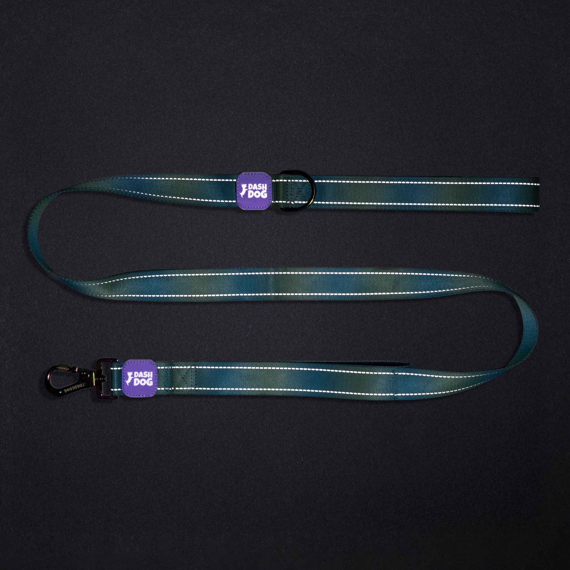 Dash Dog Ethernal Fade Dual Handle Leash For Dog - Aqua_12
