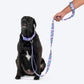 Dash Dog Galaxy Dual Handle Leash For Dog - Purple_06