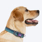 Dash_Dog_Trail_Tails_Waterproof_Dog_Collar_Leash_Set_-_Blue_07