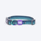 Dash_Dog_Trail_Tails_Waterproof_Dog_Collar_Leash_Set_-_Blue_15