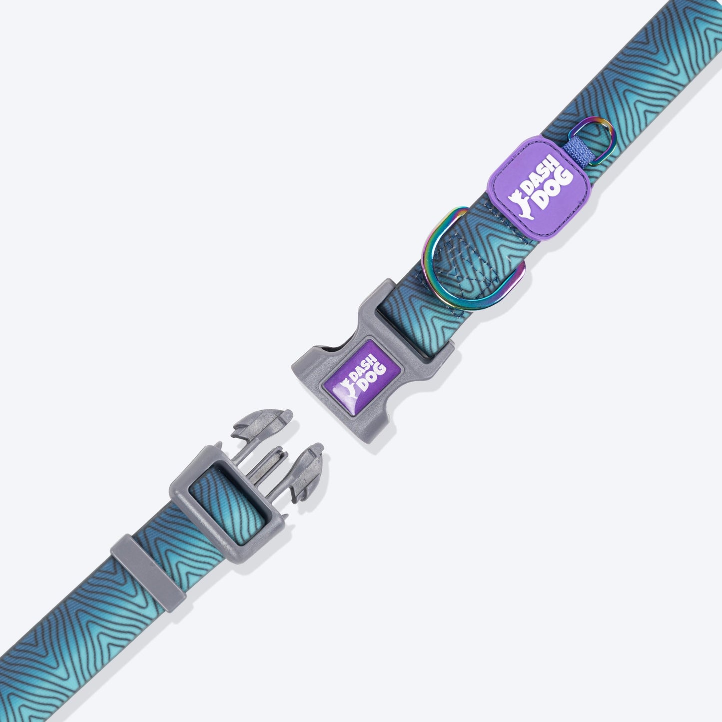 Dash_Dog_Trail_Tails_Waterproof_Dog_Collar_Leash_Set_-_Blue_16