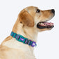 Dash_Dog_Wild_Ridge_Waterproof_Dog_Collar_Leash_Set_-_Green_10