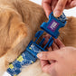 Dash_Dog_Wildcrest_Padded_Collar_For_Dog_-_Blue_Neon_Green_06