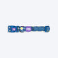 Dash_Dog_Wildcrest_Padded_Collar_For_Dog_-_Blue_Neon_Green_09