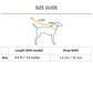 Dash Dog Zoom Easy Leash For Dog - Blue