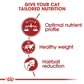 Royal Canin Fit 32 Adult Dry Cat Food - Heads Up For Tails