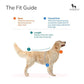 HUFT Cozy Pupper Reversible Dog Jacket - Dark Blue/Green - Heads Up For Tails