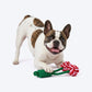 HUFT Cherrylicious Rope Toy For Dog - Multicolor