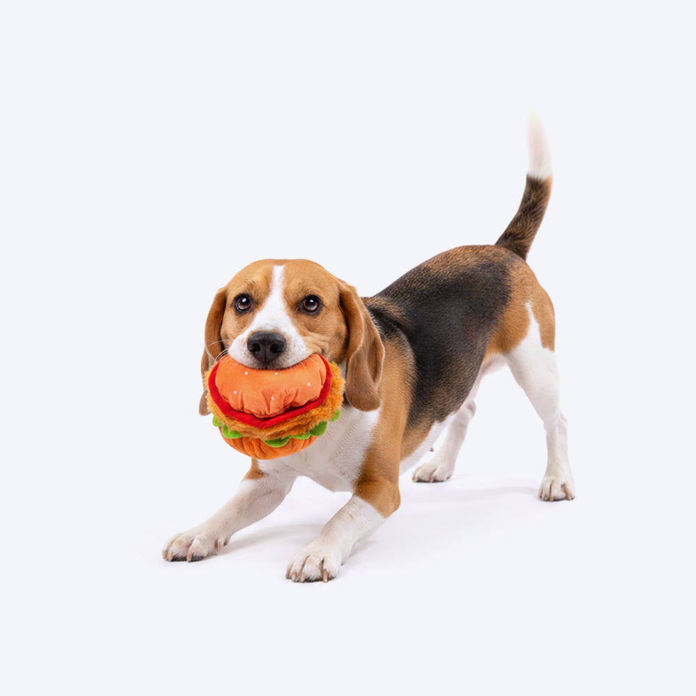 HUFT Bork-ger Plush Toy For Dog - Multicolor