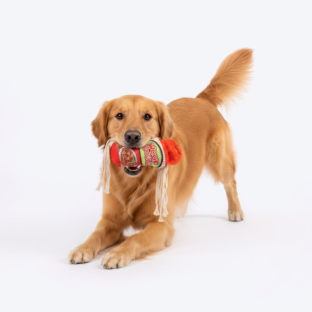 HUFT Woof Noodles Plush Toy For Dog - Multicolor
