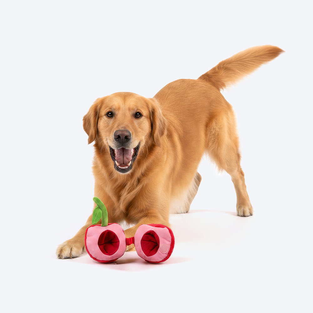 HUFT Cherrylicious Plush Toy With Ball For Dog - Red