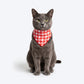 HUFT Jingle Hearts Scarf For Pets - Red & White - Heads Up For Tails