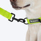HUFT Basics Dog Leash - Neon Green - Heads Up For Tails