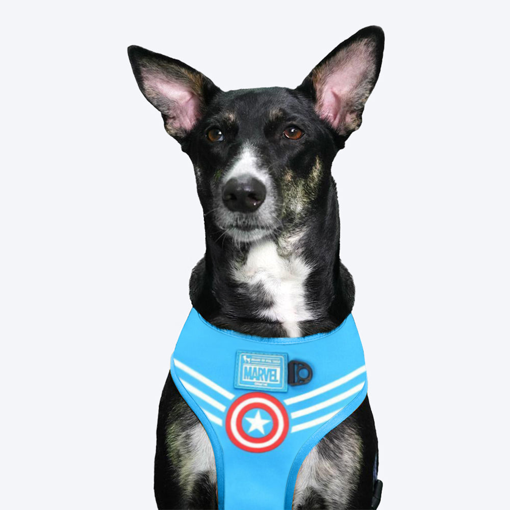 HUFT XÂ©Marvel Captain America Reversible Dog Harness - Blue & Red - Heads Up For Tails