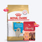 Royal Canin Golden Retriever Puppy Dry Dog Food