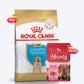 Royal Canin Labrador Retriever Puppy Dry Dog Food