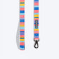 HUFT Spectrum Stripes Leash For Dog - Multicolor - Heads Up For Tails