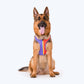 HUFT Sunny Stride Dog Reversible Harness - Heads Up For Tails