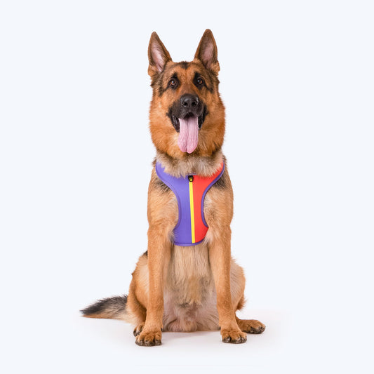 HUFT Sunny Stride Dog Reversible Harness - Heads Up For Tails